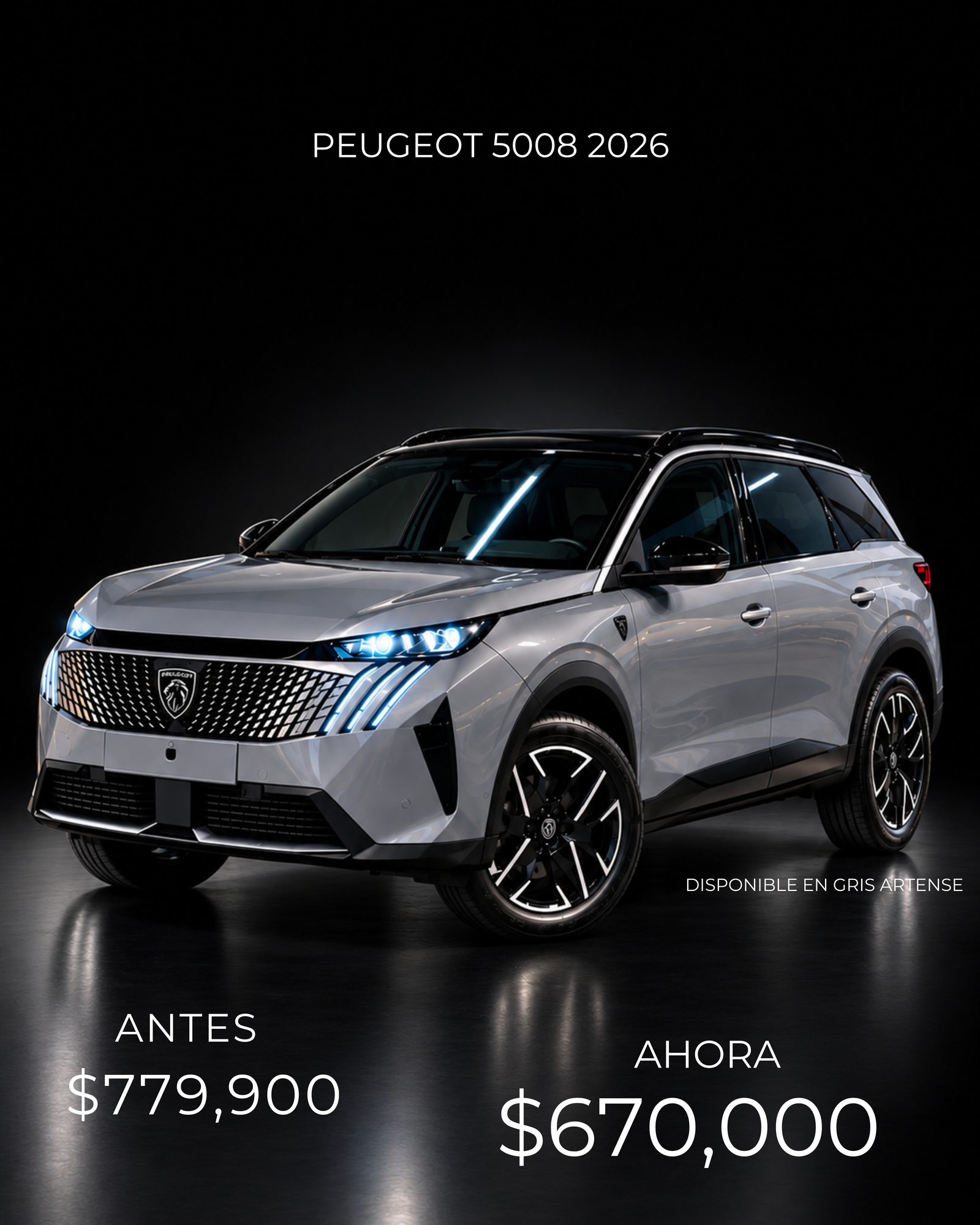 Promoción GINA FLOTILLAS